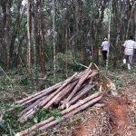 loteamento-clandestino-em-guarulhos (1)