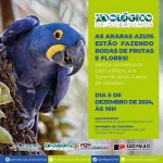 zoo-guarulhos-araras